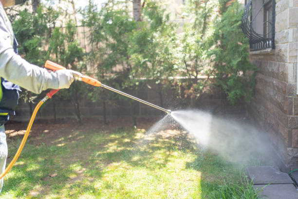 Seasonal Pest Control in China Spring, TX